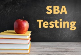  SBA Testing
